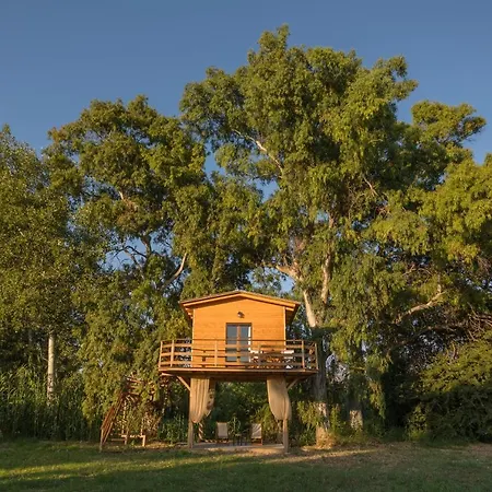 River Treehouse Laganas Exterior foto