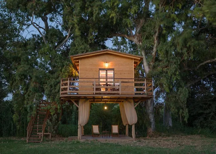 River Treehouse