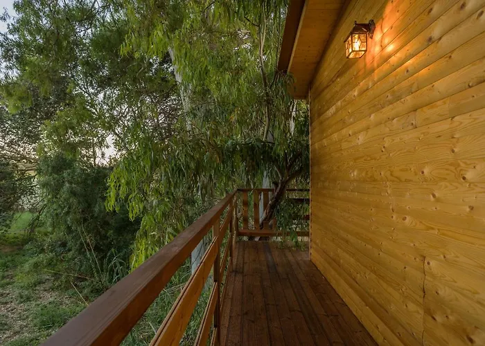River Treehouse
