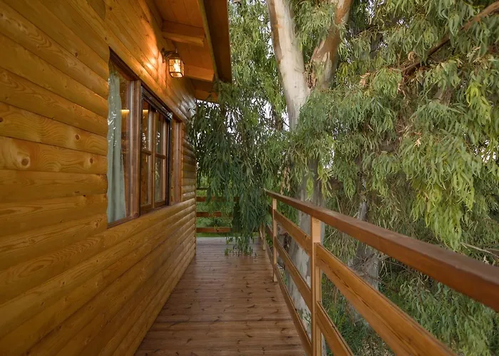 River Treehouse
