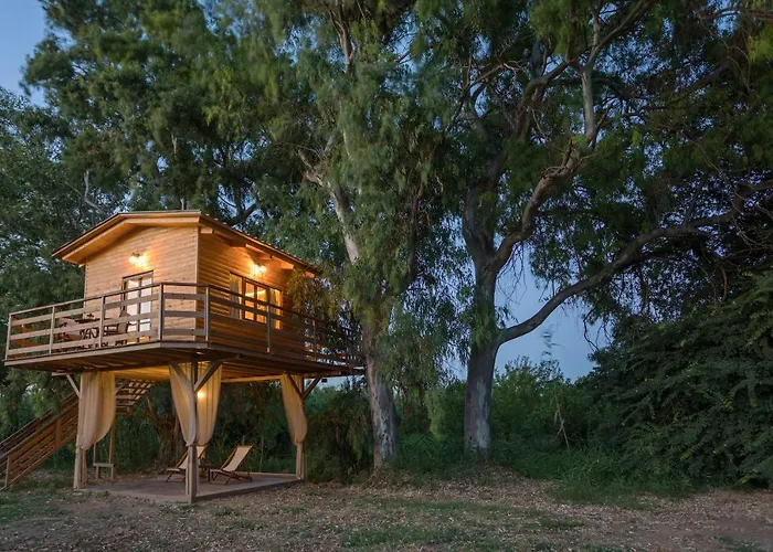 River Treehouse