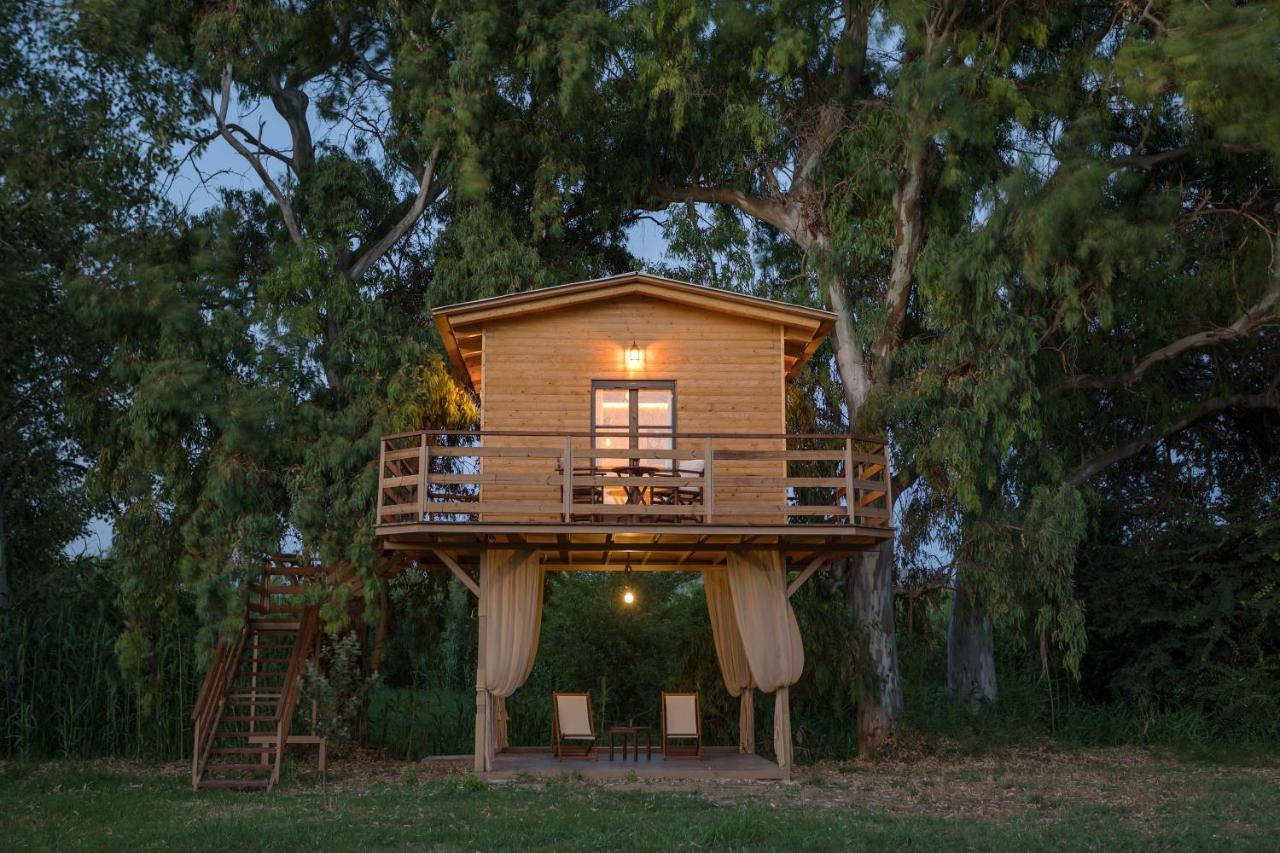 River Treehouse Chalet *