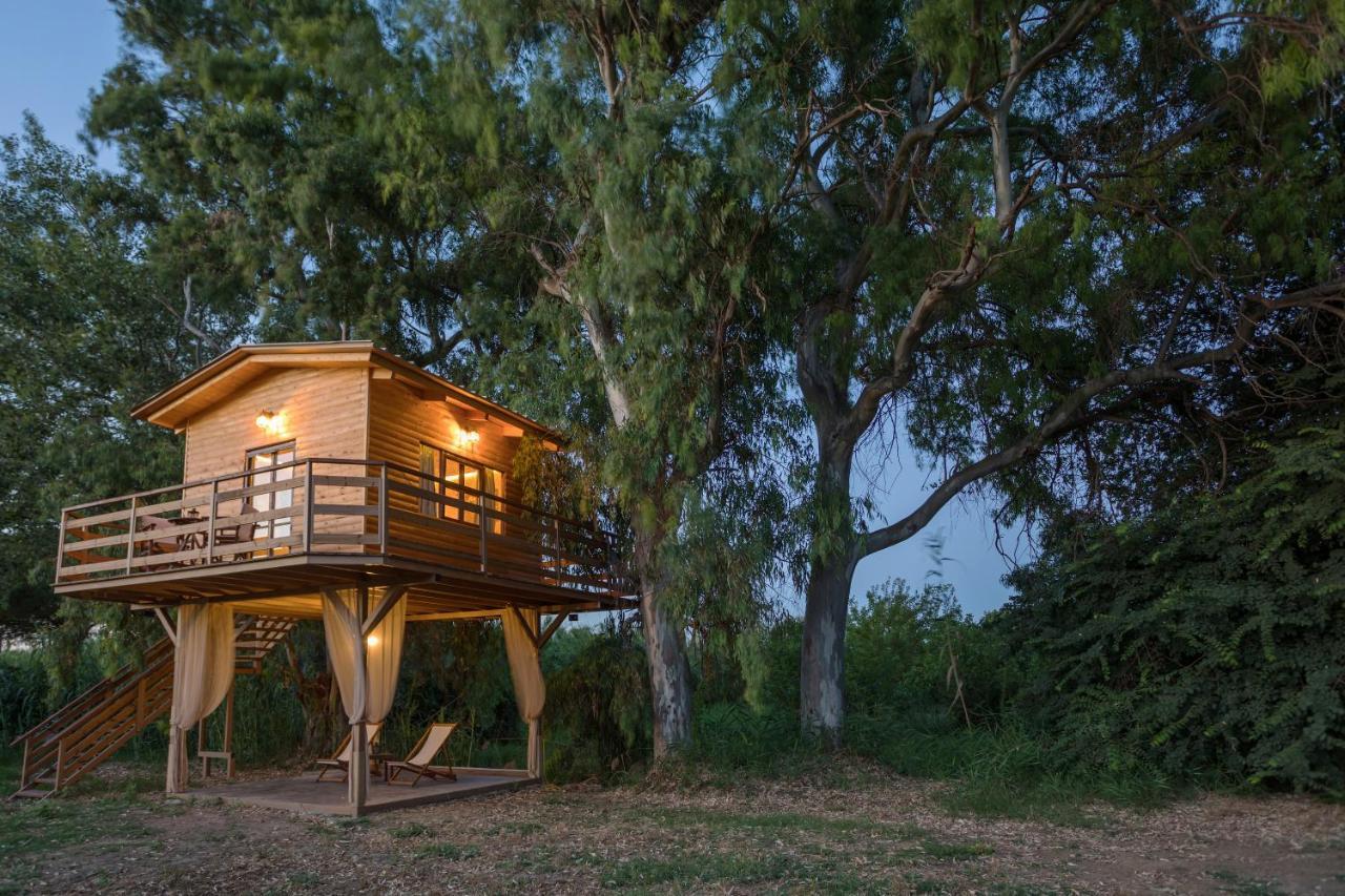 River Treehouse Chalet *
