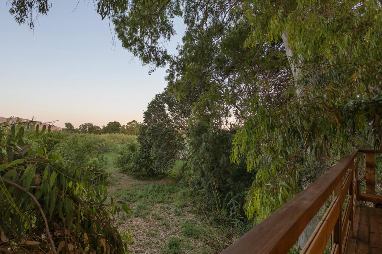 River Treehouse
