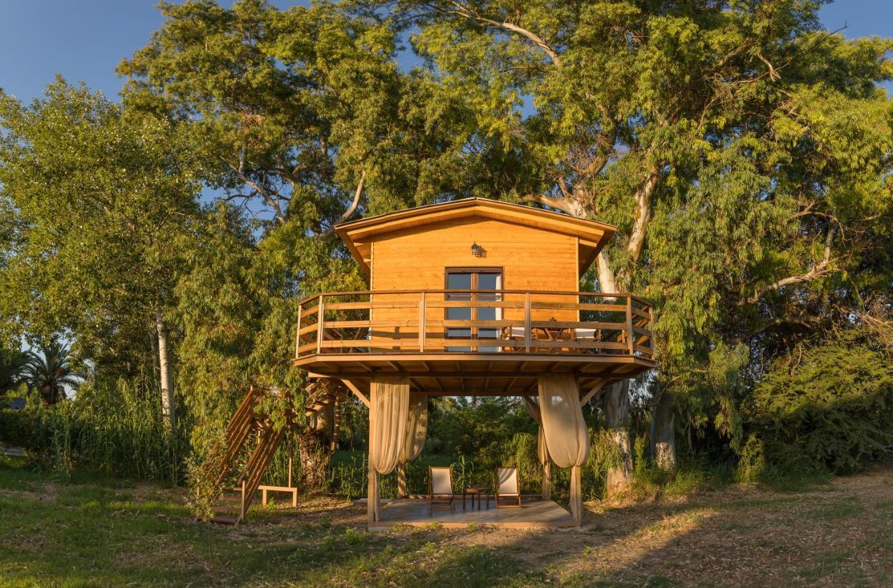 Chalet River Treehouse